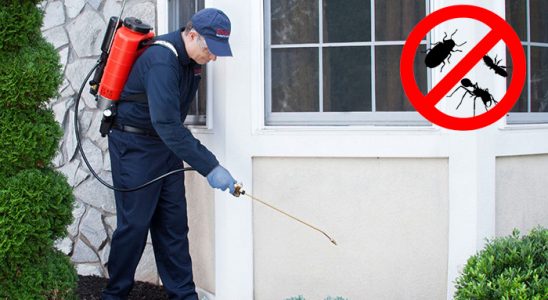 Hanönü Kene İlaçlama böcek ilaçlama ve haşere kontrolü — ilaclama-tr.com